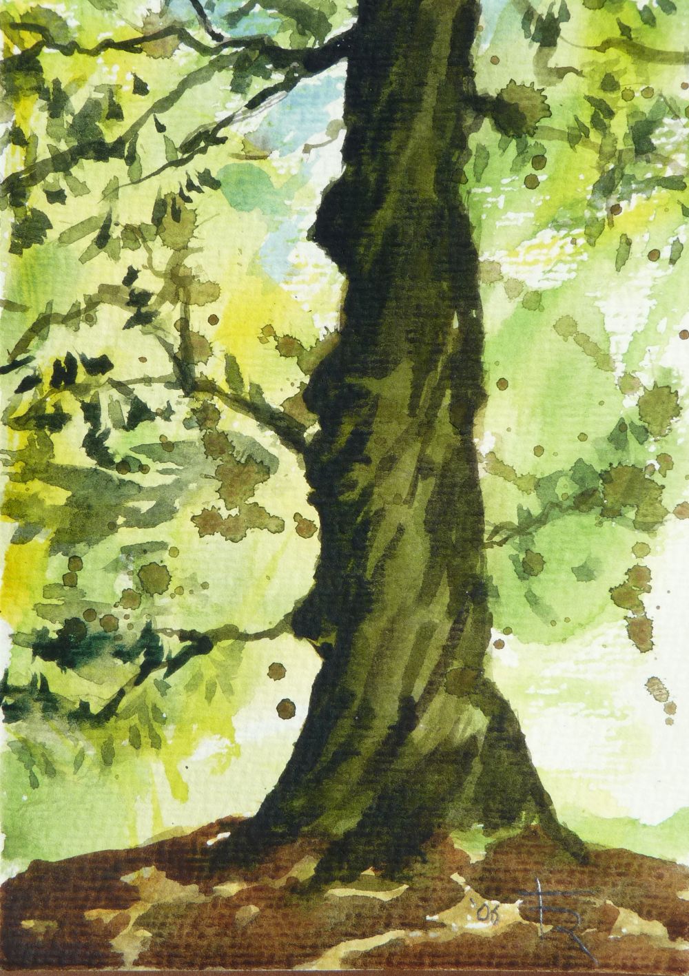 Aquarell "Maronenbaum Dinklage"