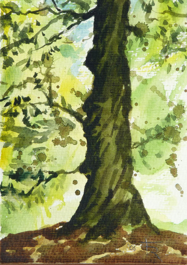 Aquarell "Maronenbaum Dinklage"