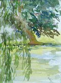 Aquarell "Trauerweide Klostergarten"