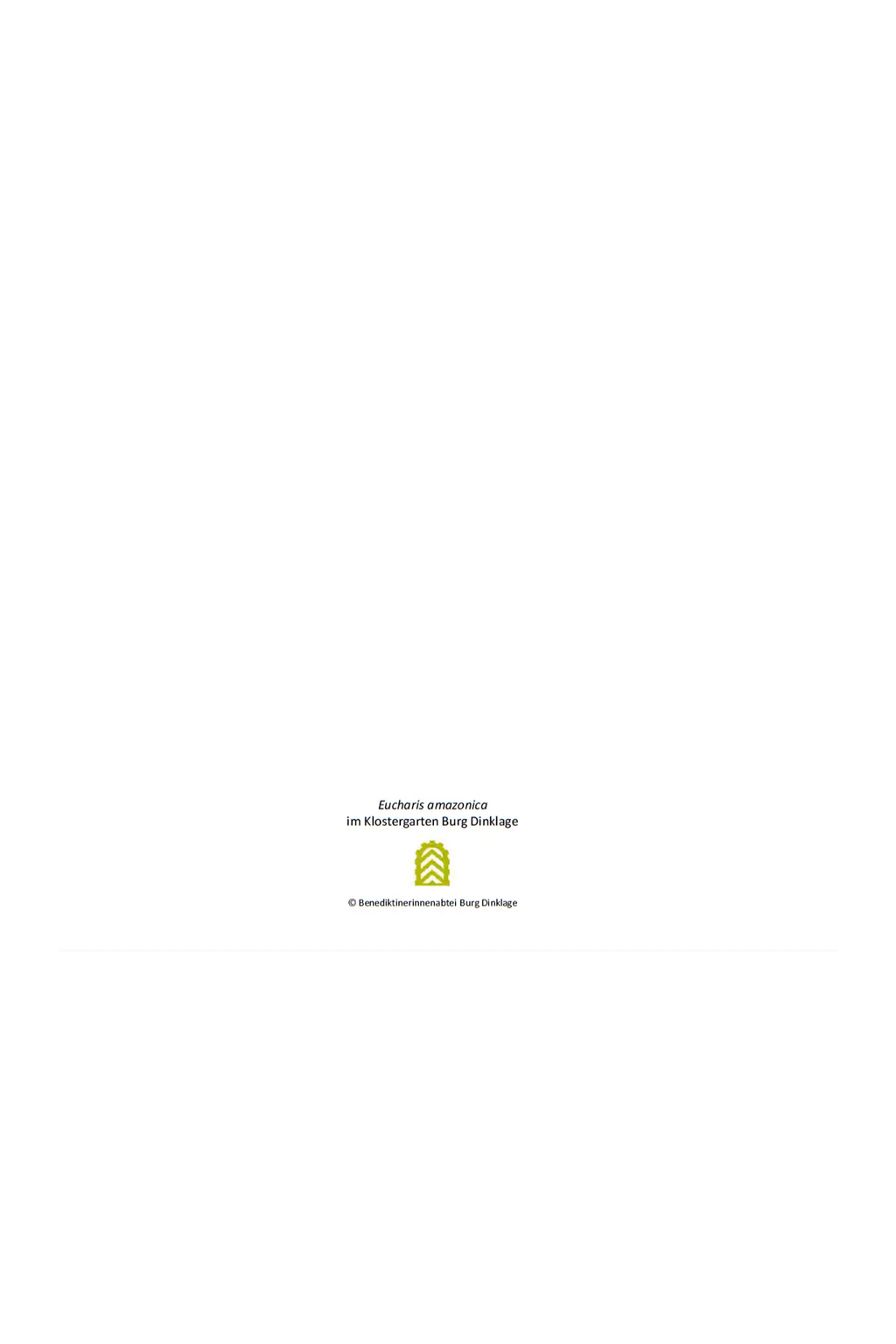 Impulskarte „Aufblühen“