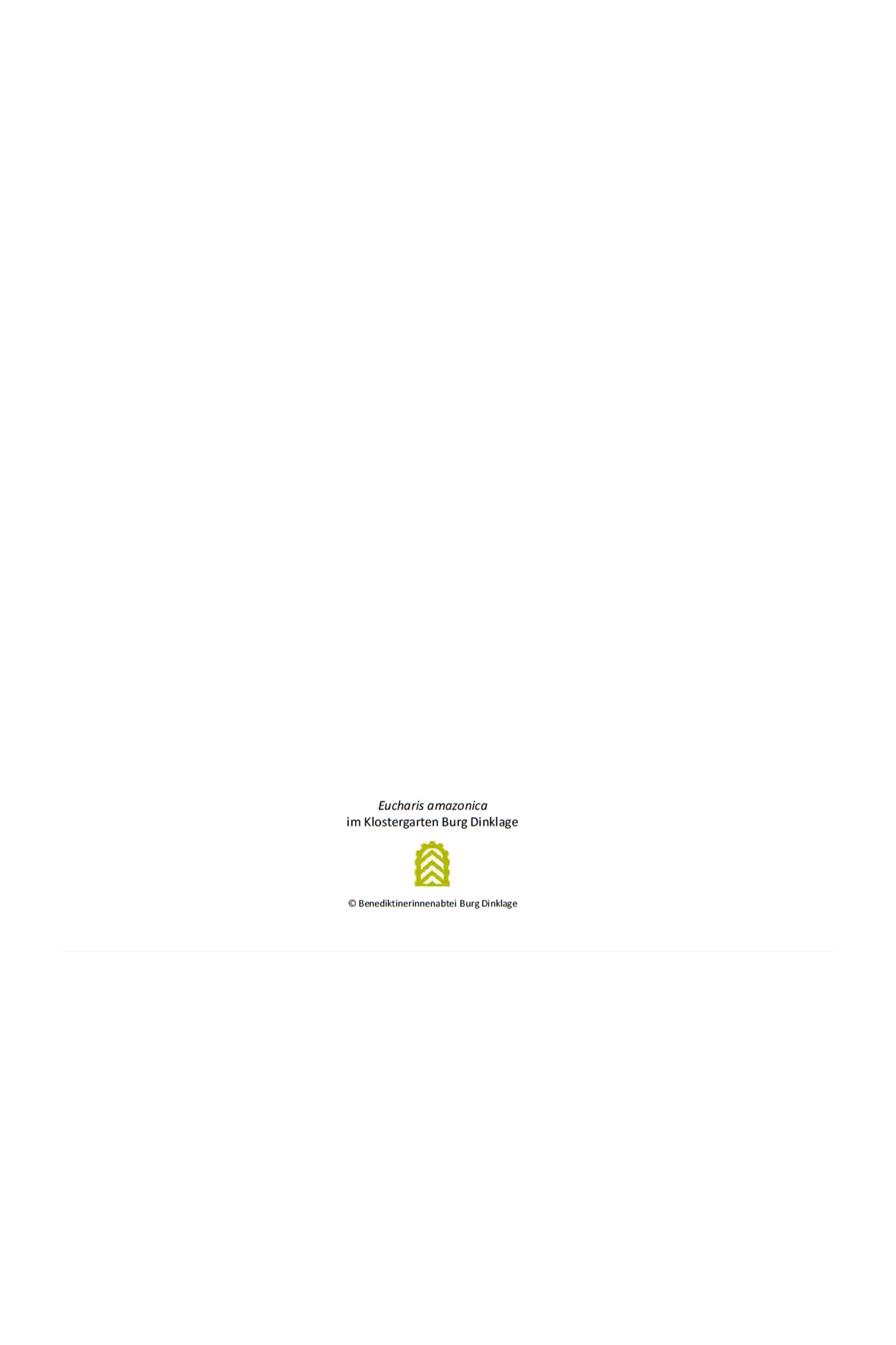 Impulskarte „Aufblühen“