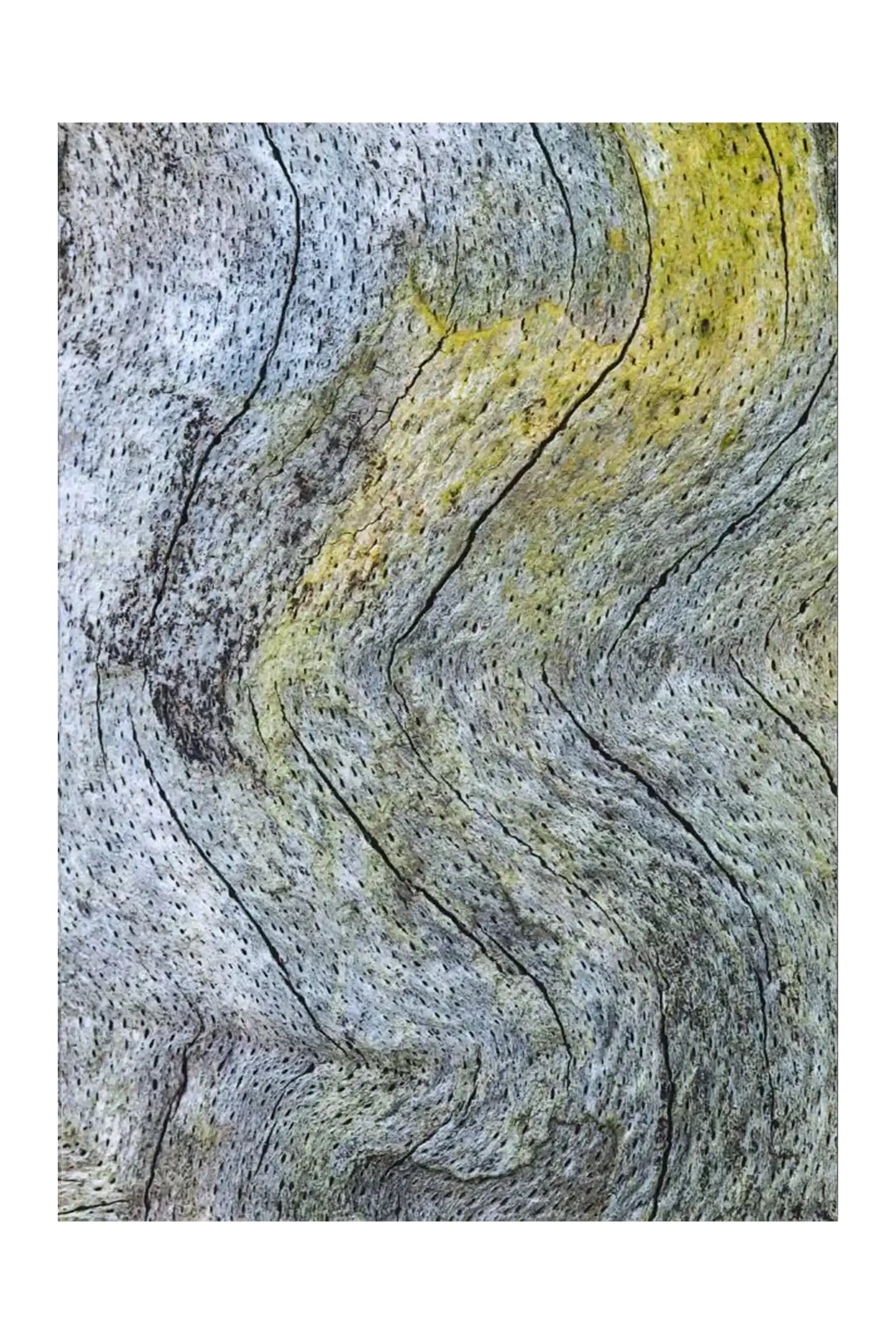Impulskarte „Spuren“