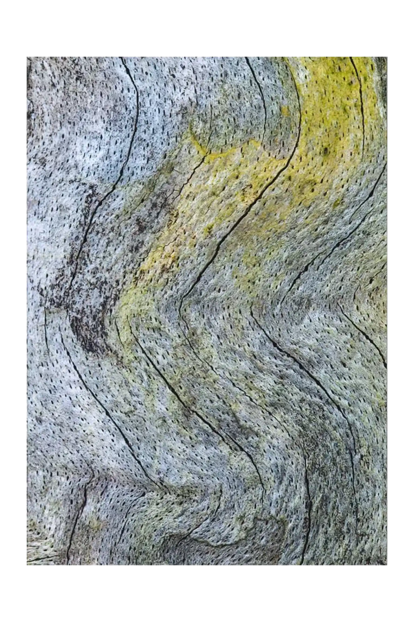 Impulskarte „Spuren“
