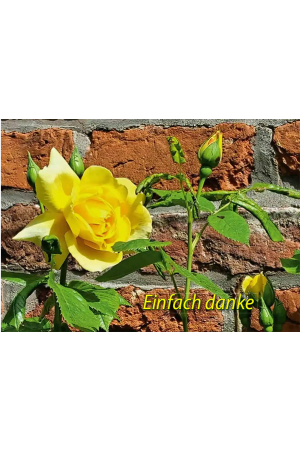 Postkarte „Einfach danke“