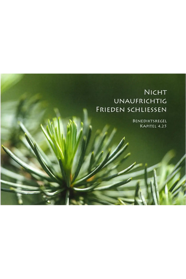 Impulskarte „Nicht unaufrichtig Frieden schließen“