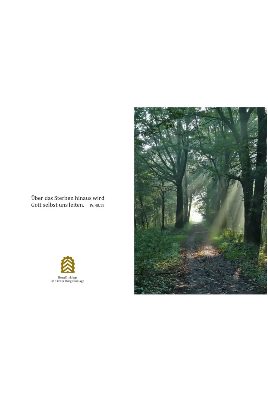 Impulskarte „Über das Sterben hinaus“
